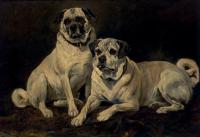 Emms, John - Pugs